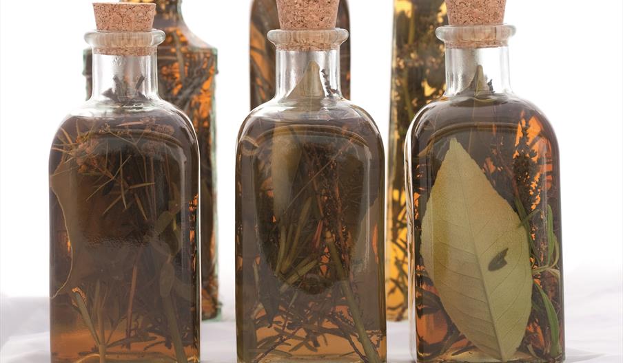 Primer plano de varias botellas de hierbas ibicencas elaboradas mediante maceración de plantas aromáticas y medicinales de la isla, donde pueden aprec