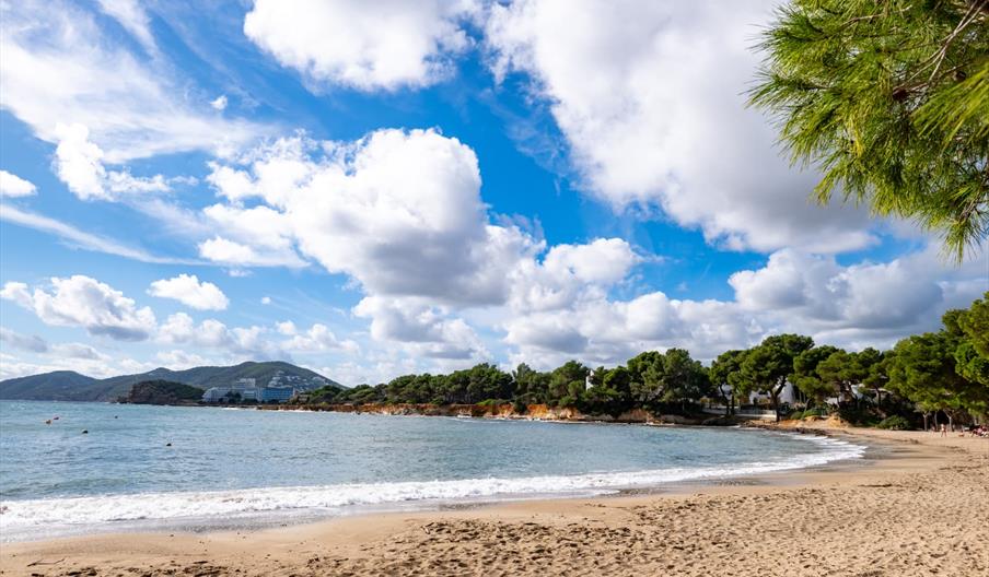 Playa Es Niu Blau