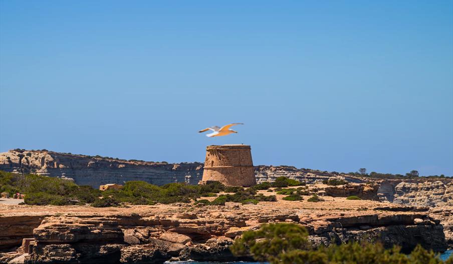 Torre d’en Rovira, antigua torre de defensa costera sobre un paisaje rocoso junto al mar, con una gaviota sobrevolando la costa de Ibiza.