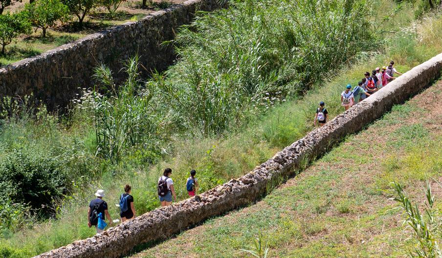 Personas caminando junto en una ruta a pie rodeada de paisaje natural.