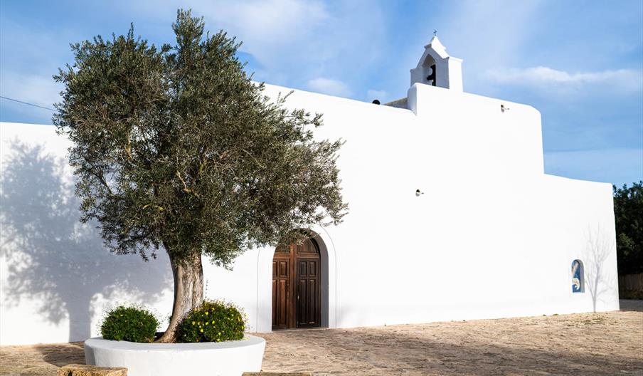 Iglesia de Santa Agnès de Corona, de arquitectura tradicional ibicenca y fachadas blancas, junto a un olivo centenario bajo un cielo suave en el inter
