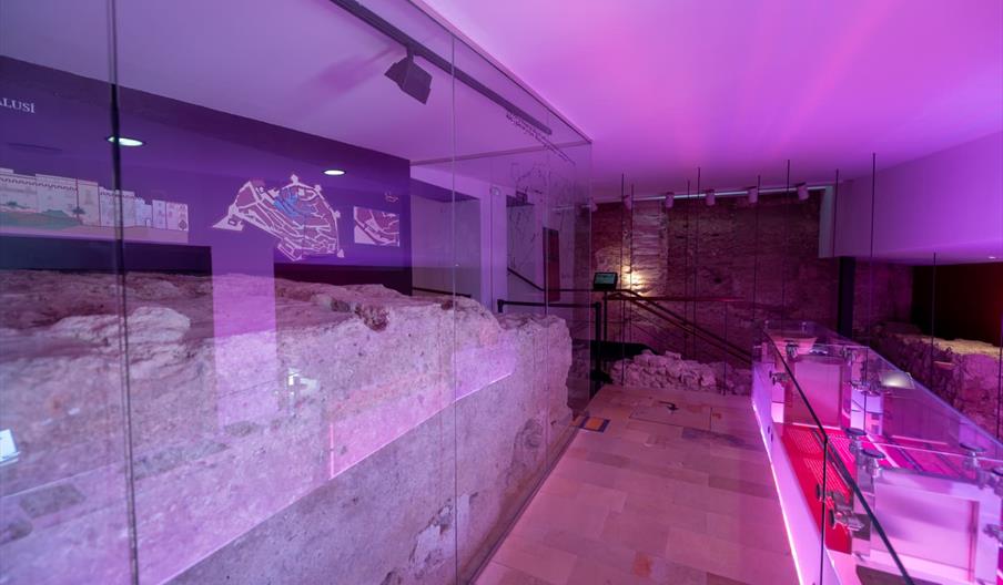Interior del Centro de Interpretación Madina Yabisa, donde hay restos arqueológicos y otros utensilios, como libros, bajo una luz morada.