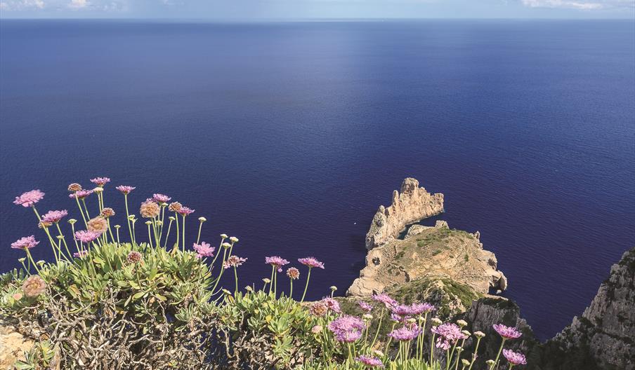 Vegetación sobre roca y acantilado con el mar Mediterráneo al fondo.