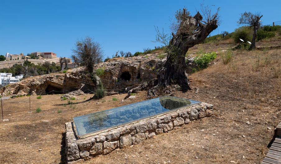 En la imagen se ve una tumba de la necrópolis, tapada por un cristal protector. Al fondo se ve Dalt Vila.